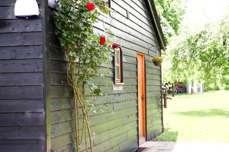 Wilderness B&B 3 Self Contained Rooms Nr Sissinghurst Headcorn Exteriör bild